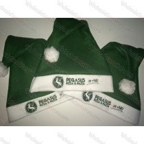 USA Bulk Green Santa Hat