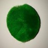 2" Green Pom Pom - +$0.30